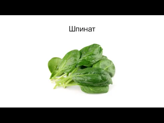 Шпинат