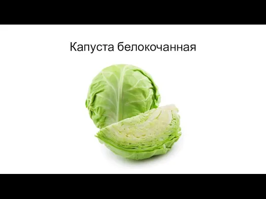 Капуста белокочанная