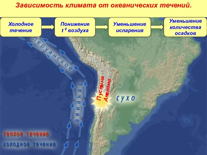 Холодное течение Понижение t 0 воздуха Уменьшение испарения Уменьшение количества осадков Пустыня