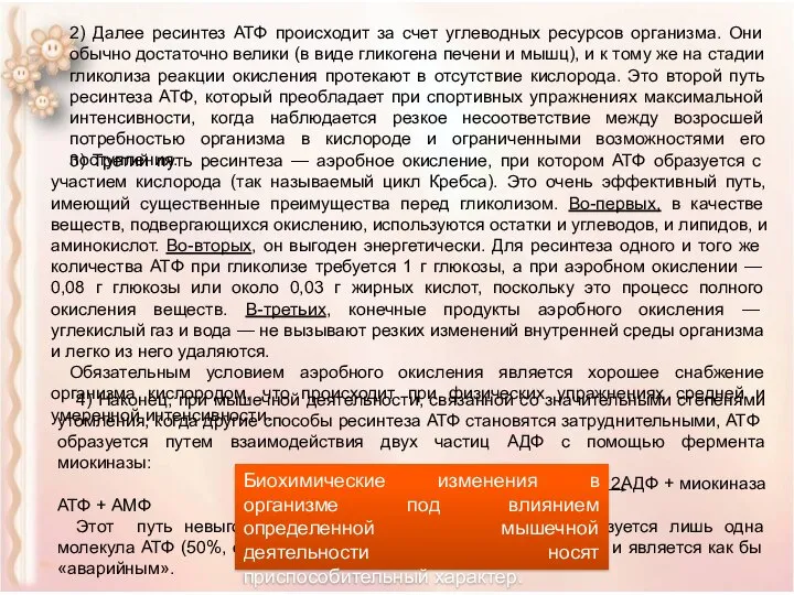 2) Далее ресинтез АТФ происходит за счет углеводных ресурсов организма. Они обычно