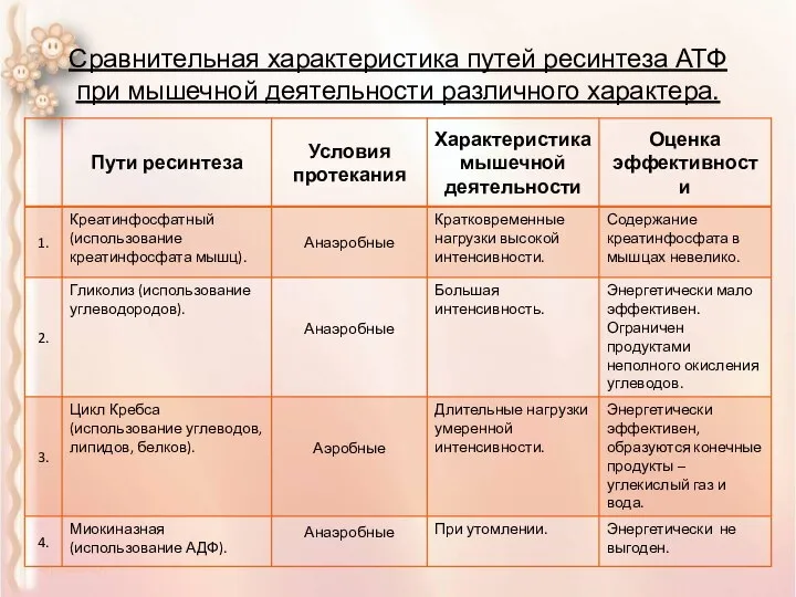 Сравнительная характеристика путей ресинтеза АТФ при мышечной деятельности различного характера.