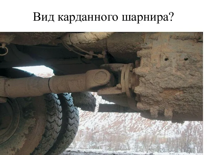 Вид карданного шарнира?