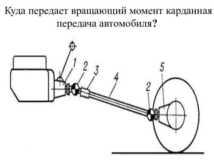 Куда передает вращающий момент карданная передача автомобиля?