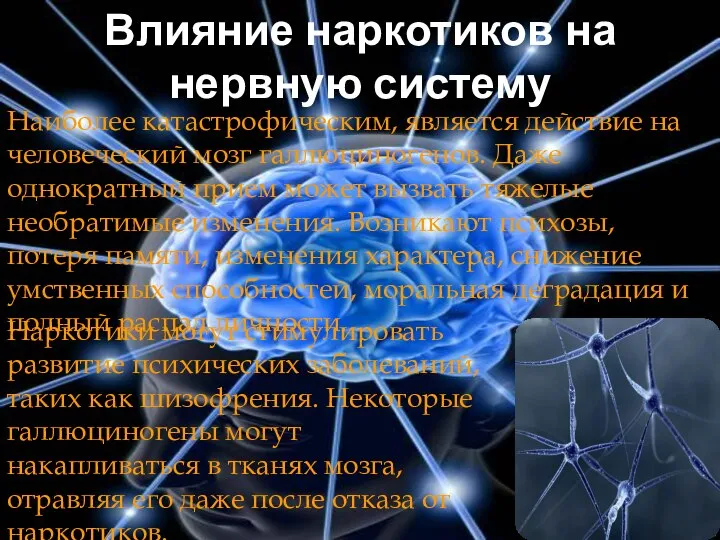 Влияние наркотиков на нервную систему Наиболее катастрофическим, является действие на человеческий мозг