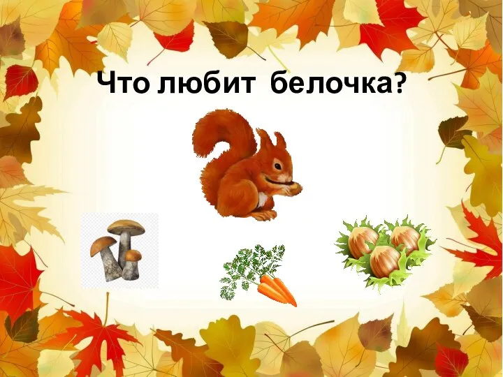 Что любит белочка?