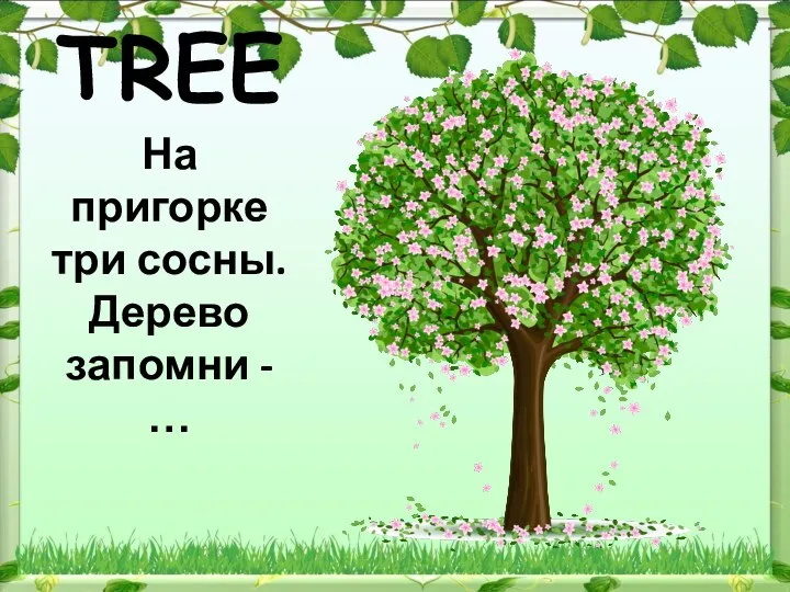 TREE На пригорке три сосны. Дерево запомни - …