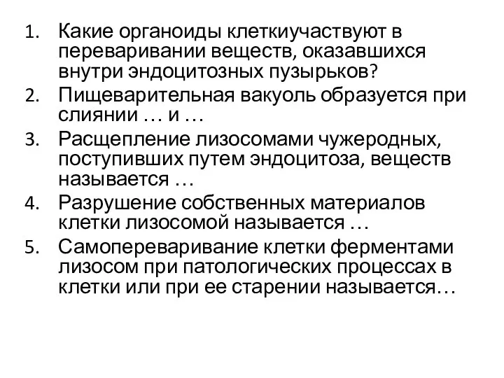 Какие органоиды клеткиучаствуют в переваривании веществ, оказавшихся внутри эндоцитозных пузырьков? Пищеварительная вакуоль