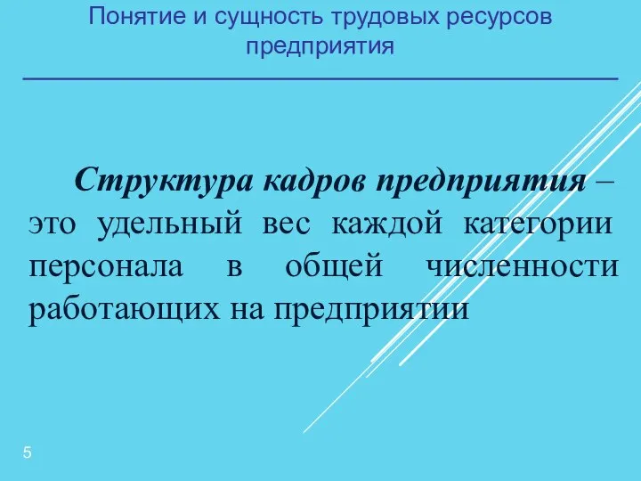 Понятие и сущность трудовых ресурсов предприятия Структура кадров предприятия – это удельный