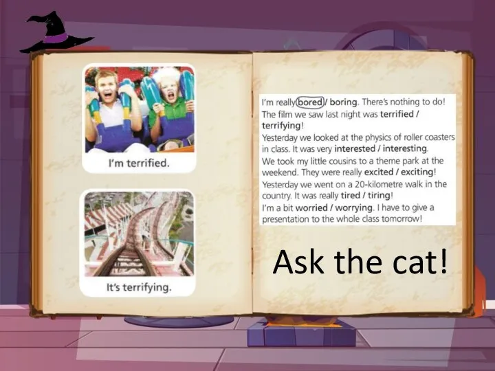 Ask the cat!