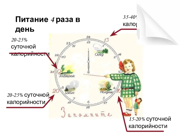 Питание 4 раза в день 20-25% суточной калорийности 35-40% суточной калорийности 20-25%