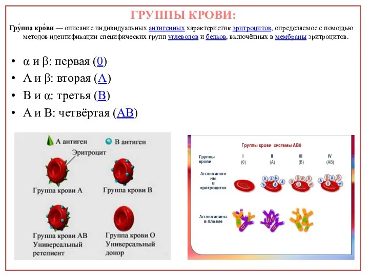 ГРУППЫ КРОВИ: Гру́ппа кро́ви — описание индивидуальных антигенных характеристик эритроцитов, определяемое с