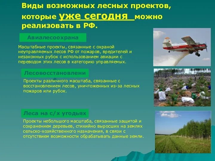 Виды возможных лесных проектов, которые уже сегодня можно реализовать в РФ. Авиалесоохрана