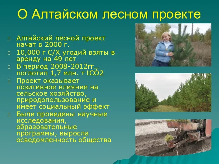О Алтайском лесном проекте Алтайский лесной проект начат в 2000 г. 10,000