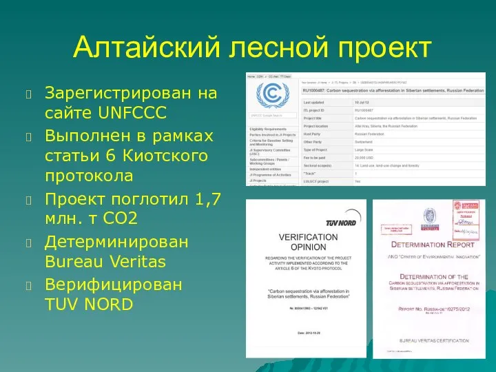 Алтайский лесной проект Зарегистрирован на сайте UNFCCC Выполнен в рамках статьи 6