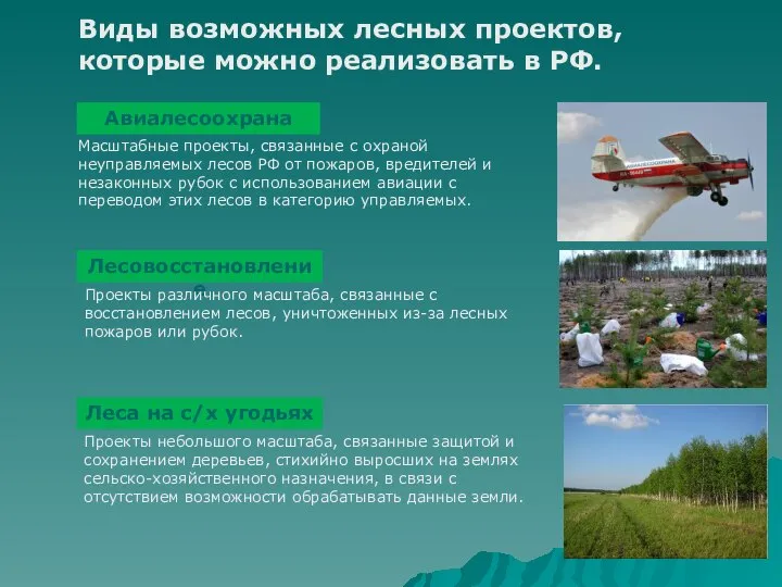 Виды возможных лесных проектов, которые можно реализовать в РФ. Авиалесоохрана Лесовосстановление Леса