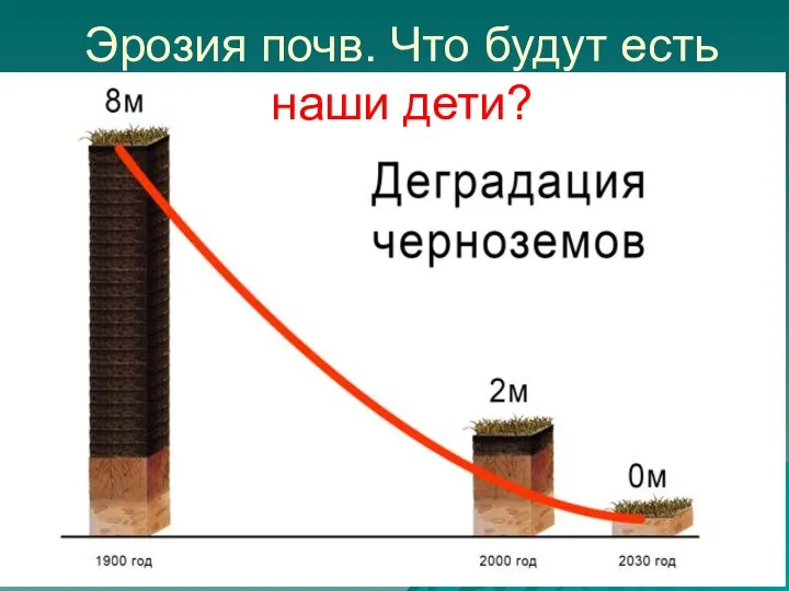 Эрозия почв. Что будут есть наши дети?