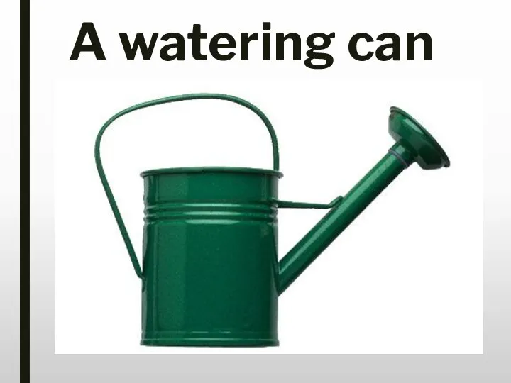 A watering can