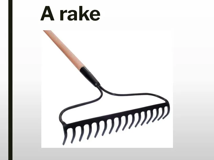 A rake
