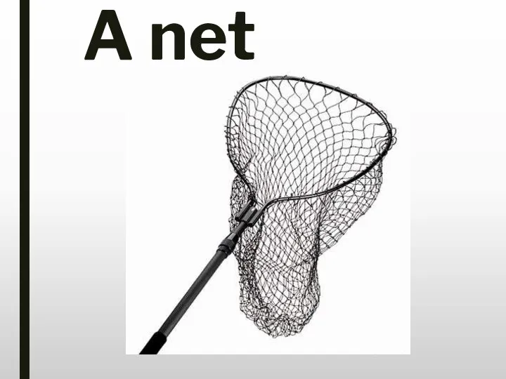 A net