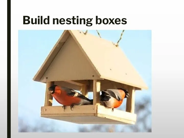 Build nesting boxes