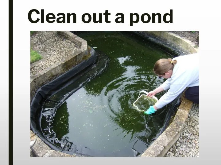 Clean out a pond