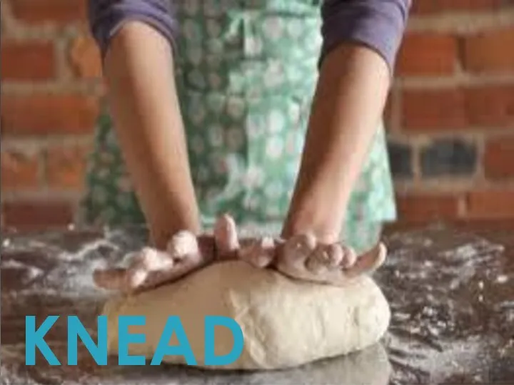 KNEAD