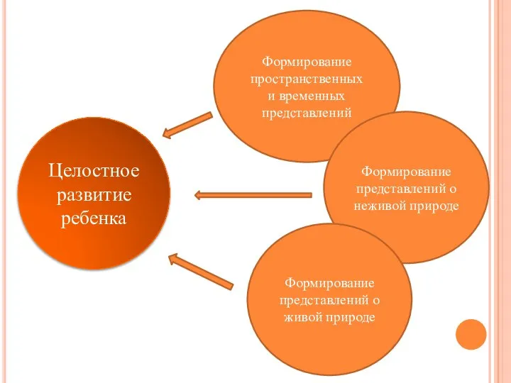 Формирование пространственных и временных представлений Формирование представлений о неживой природе Целостное развитие