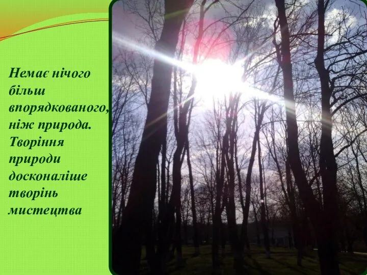 Немає нічого більш впорядкованого, ніж природа. Творіння природи досконаліше творінь мистецтва