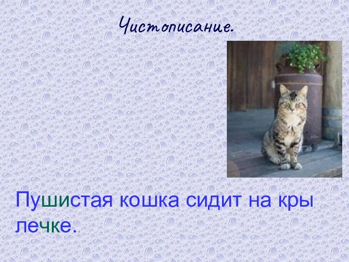 Чистописание. Пу­ши­стая кошка сидит на кры­леч­ке..