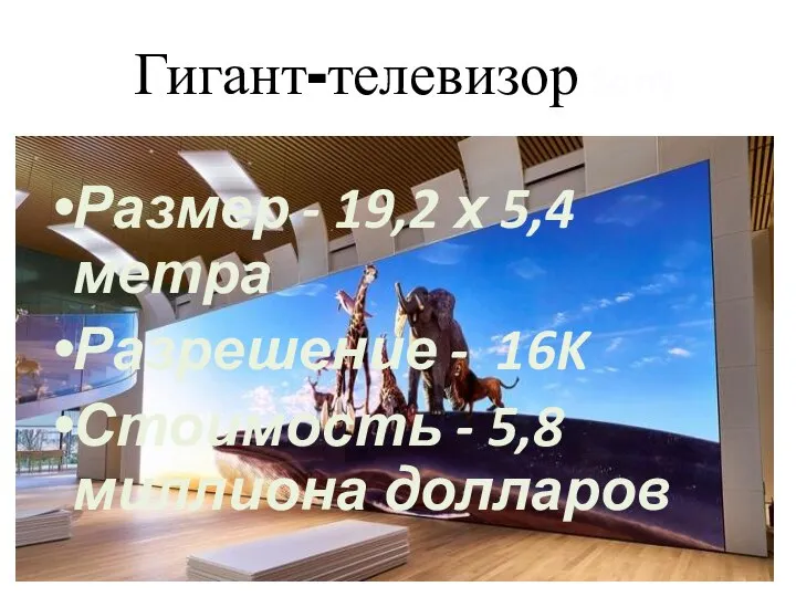 Гигант-телевизор Sony Размер - 19,2 х 5,4 метра Разрешение - 16K Стоимость - 5,8 миллиона долларов