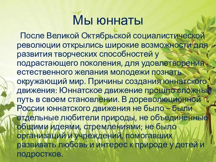 Мы юннаты После Великой Октябрьской социалистической революции открылись широкие возможности для развития