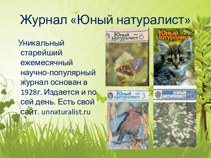 Журнал «Юный натуралист» Уникальный старейший ежемесячный научно-популярный журнал основан в 1928г. Издается