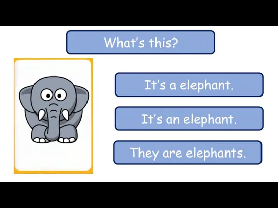 What’s this? It’s a elephant. It’s an elephant. They are elephants.