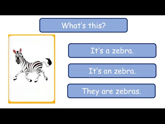 What’s this? It’s a zebra. It’s an zebra. They are zebras.