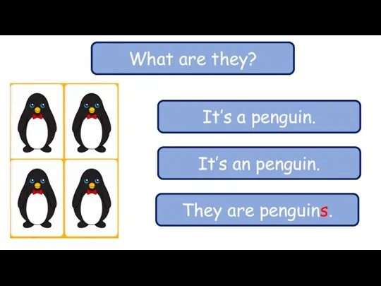 What are they? It’s a penguin. It’s an penguin. They are penguins.