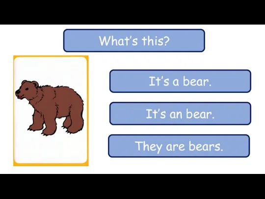 What’s this? It’s a bear. It’s an bear. They are bears.