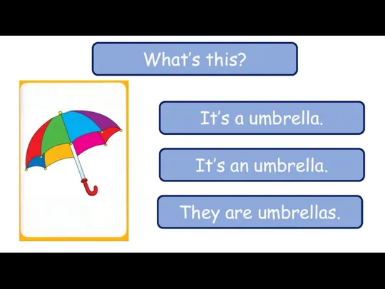 What’s this? It’s a umbrella. It’s an umbrella. They are umbrellas.