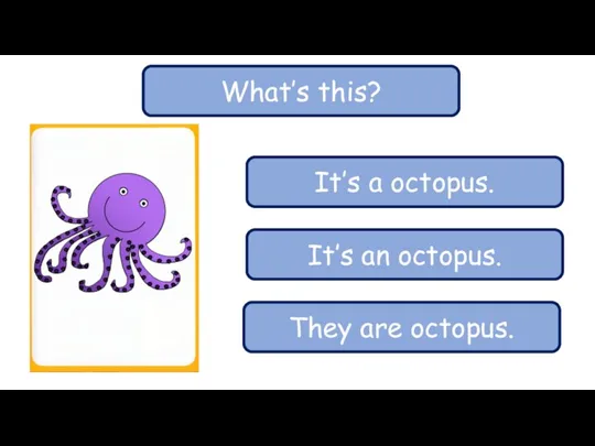 What’s this? It’s a octopus. It’s an octopus. They are octopus.