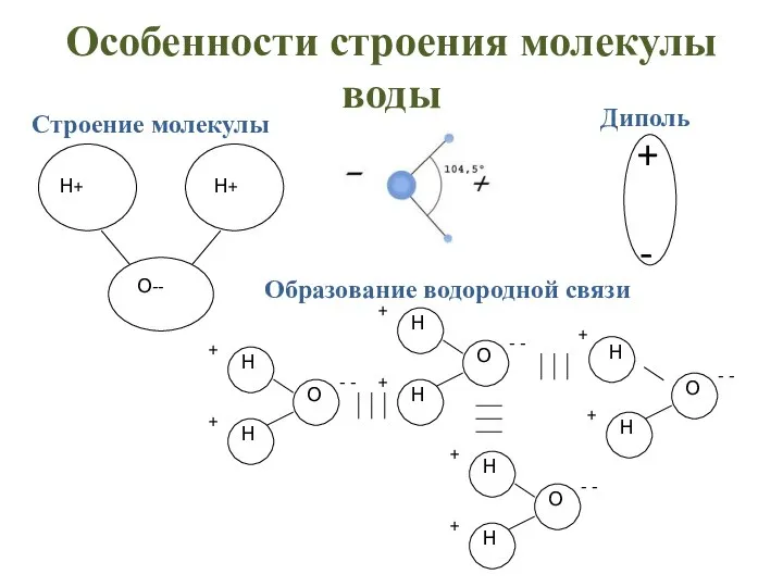 Особенности строения молекулы воды