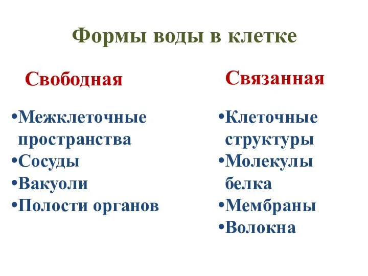 Формы воды в клетке Свободная Межклеточные пространства Сосуды Вакуоли Полости органов Связанная