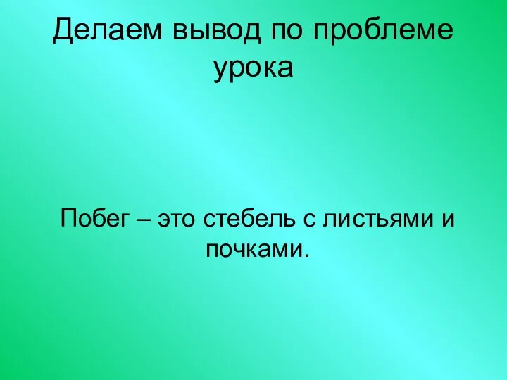 Делаем вывод по проблеме урока Побег – это стебель с листьями и почками.