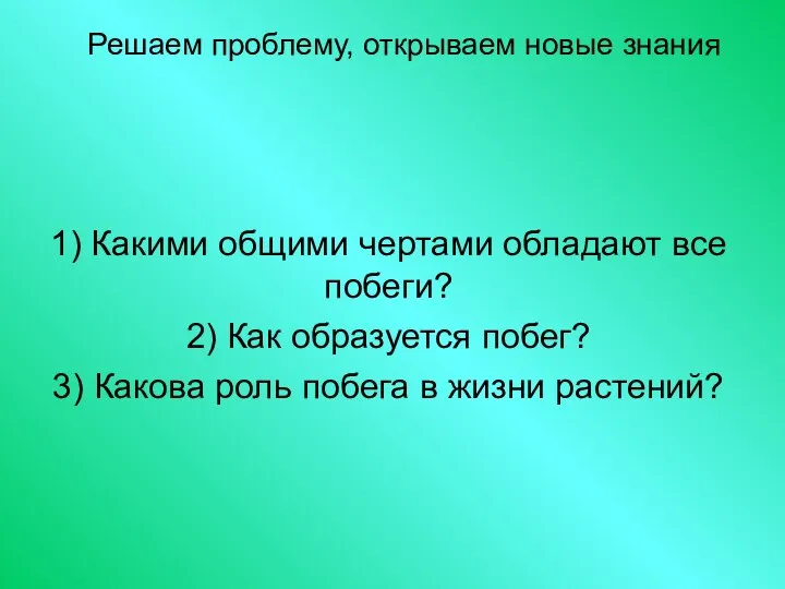 Решаем проблему, открываем новые знания 1) Какими общими чертами обладают все побеги?