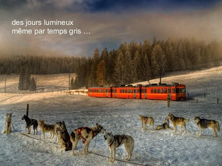 des jours lumineux même par temps gris …