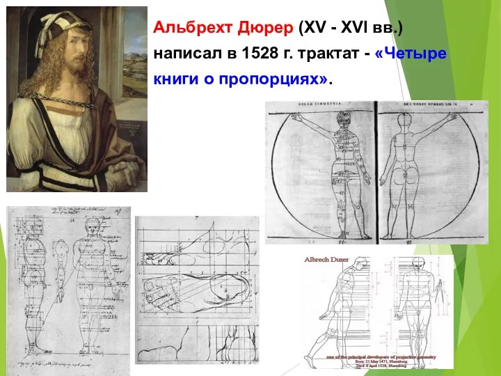 Альбрехт Дюрер (XV - XVI вв.) написал в 1528 г. трактат - «Четыре книги о пропорциях».