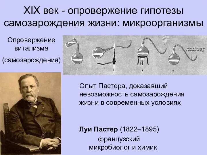 XIX век - опровержение гипотезы самозарождения жизни: микроорганизмы Луи Пастер (1822–1895) французский