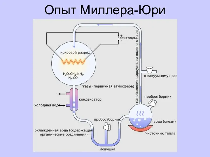 Опыт Миллера-Юри