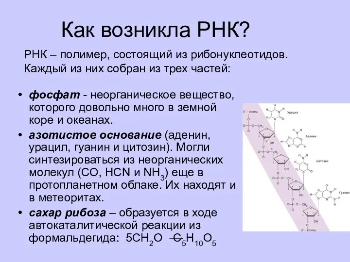 Как возникла РНК? фосфат - неорганическое вещество, которого довольно много в земной