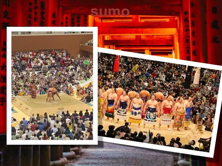 sumo