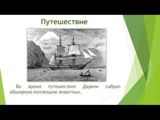 Во время путешествия Дарвин собрал обширную коллекцию животных.