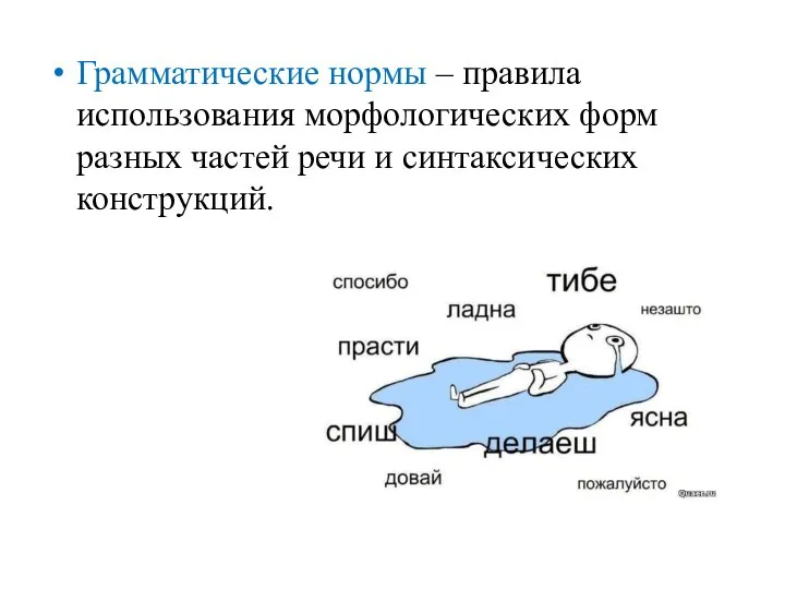 Грамматические нормы – правила использования морфологических форм разных частей речи и синтаксических конструкций.